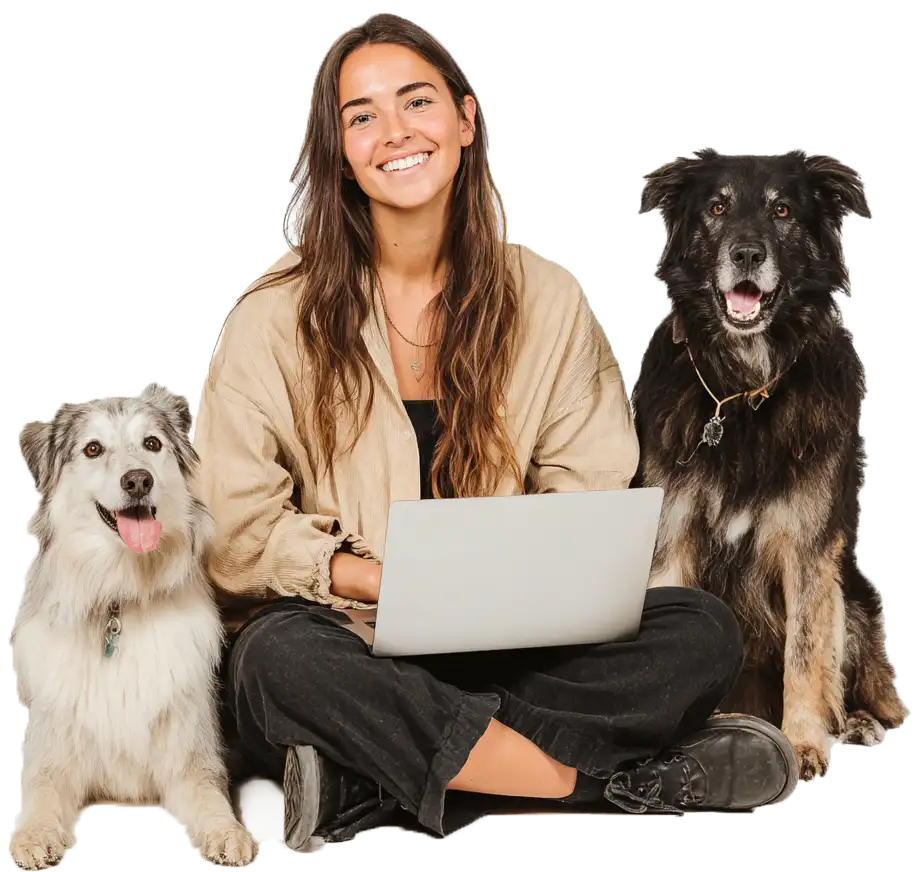 Meine Tierpension - Asesoramiento para empresas de animales